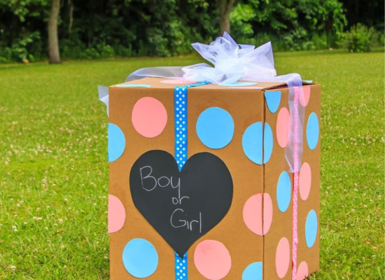 jardin privado para celebrar baby shower o reveal