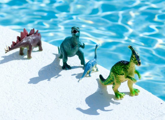 dinosaurios teambuilding piscina